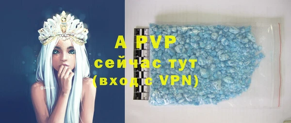 mdpv Новодвинск