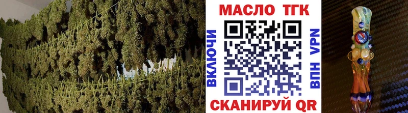 сколько стоит  Олонец  Дистиллят ТГК THC oil 
